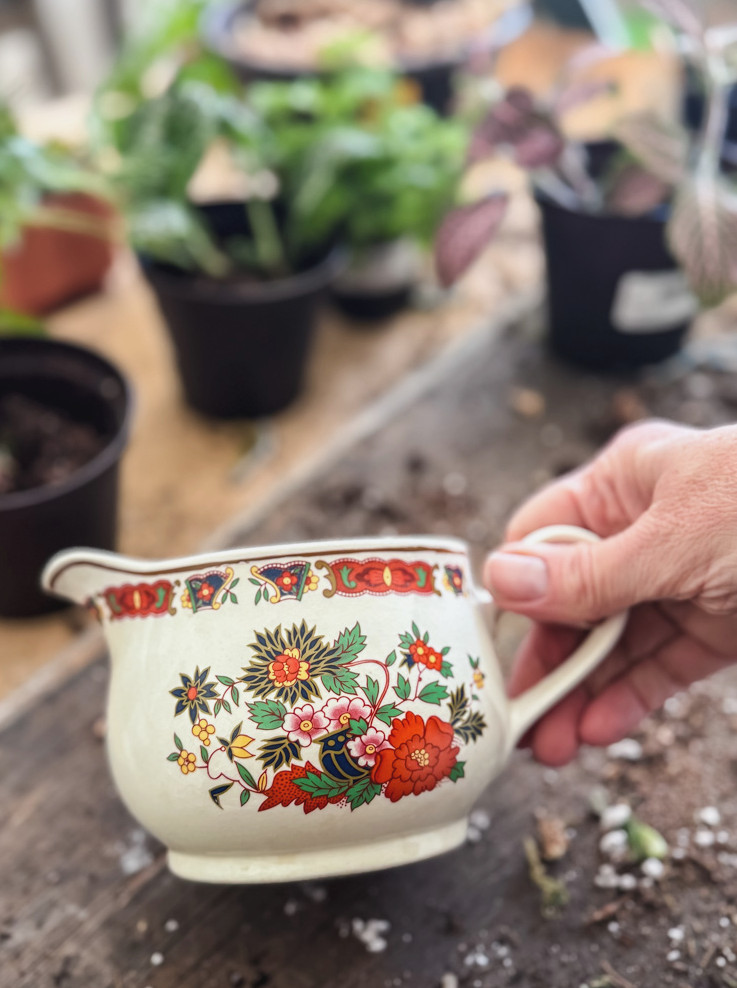 Irish china creamer with red floral pattern