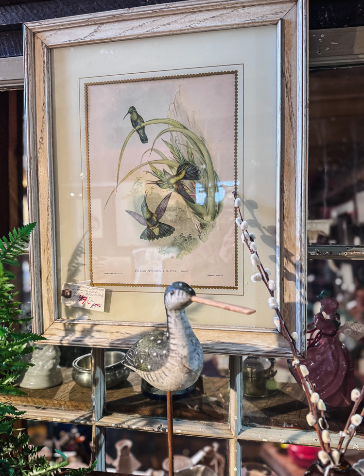 vintage framed bird artwork