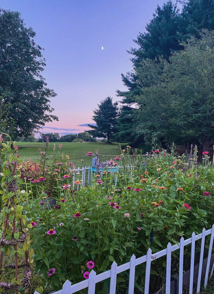 september sunset over garden
