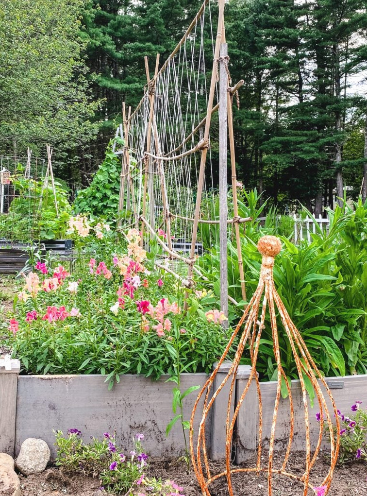 cottage garden in bloom