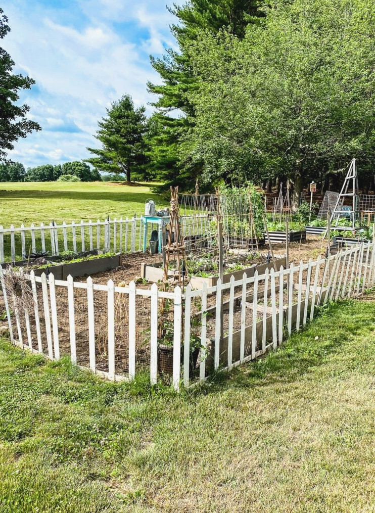 garden with white fence