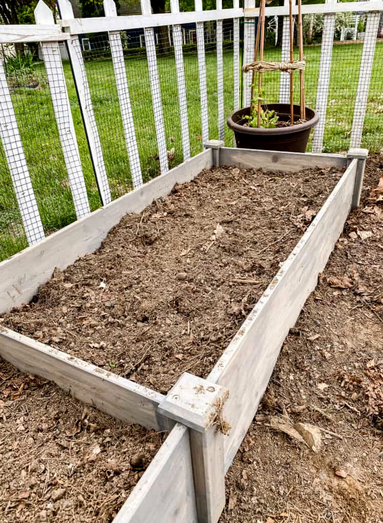 filled raised beds in cutting garden