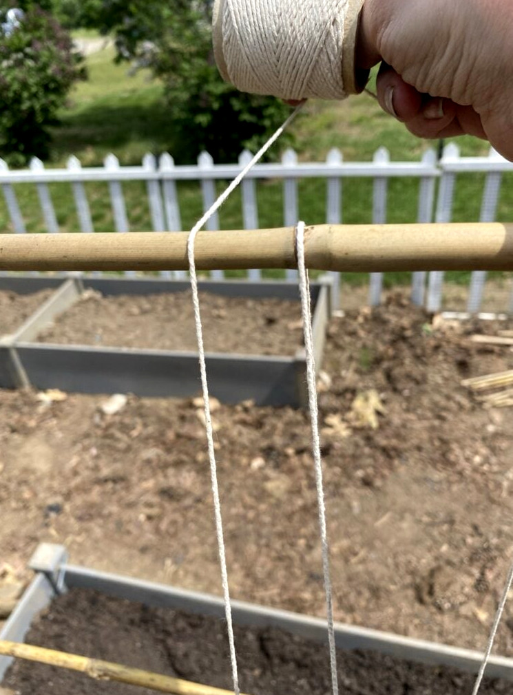 making a sweet pea trellis