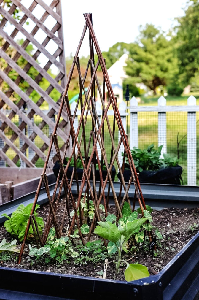 willow trellis