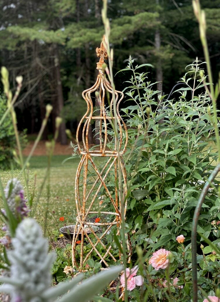 cottage garden with topiary
