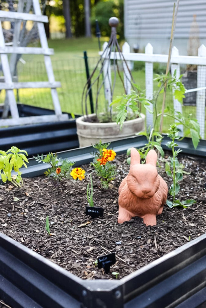raised garden bed