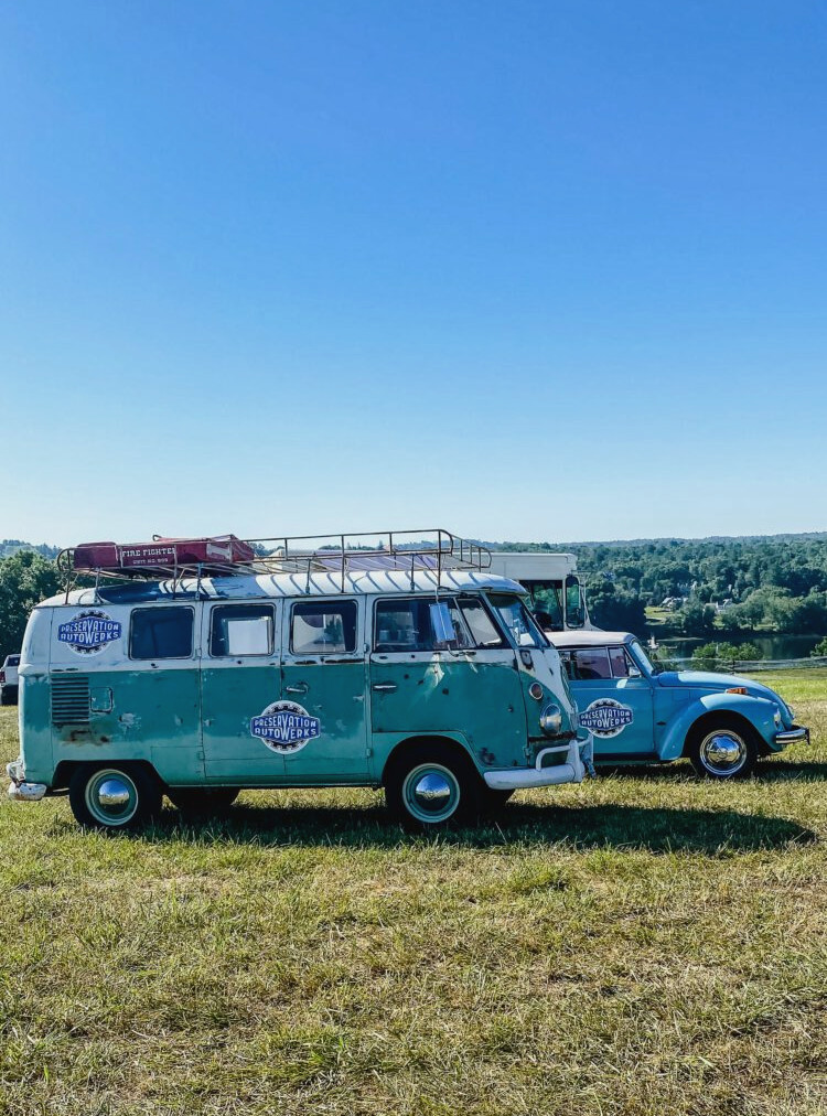 vintage VW bus and bug
