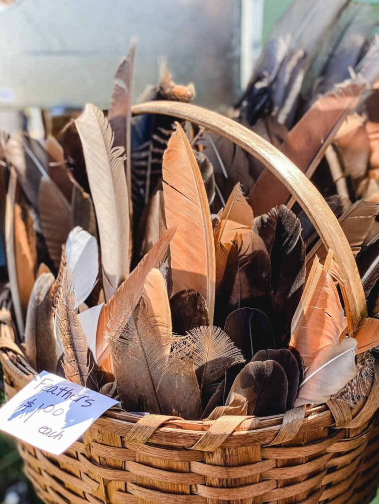 basket of feathers