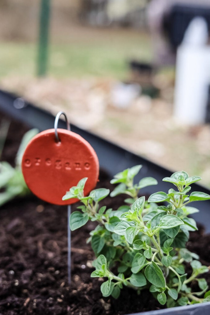DIY Clay Plant Markers: Easy, Custom & Charming Garden Labels