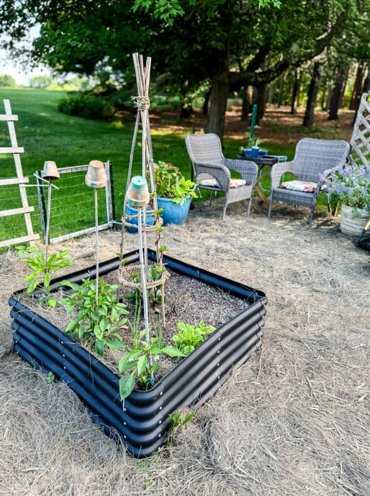 raised garden bed with obelsik