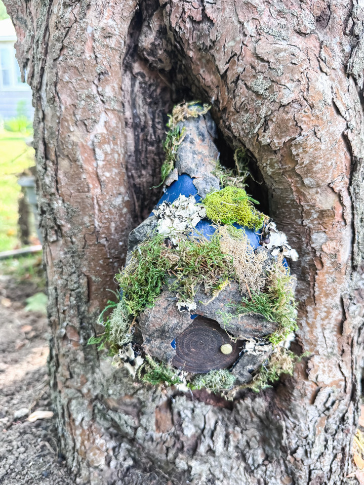 fairy house in tree hollow