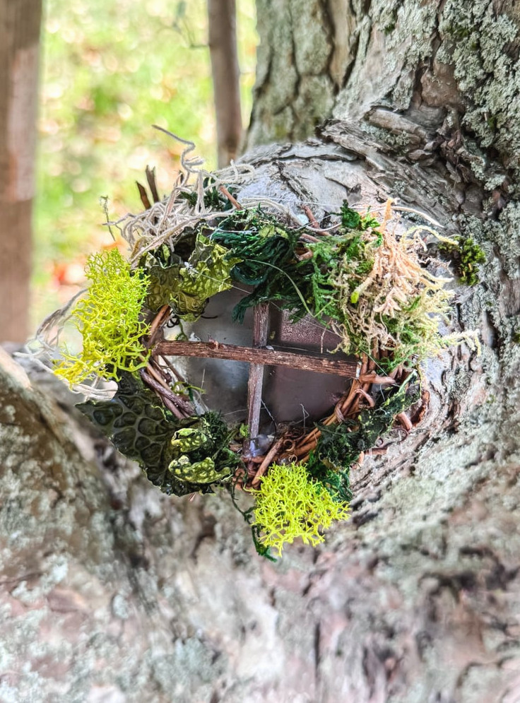 fairy tree window in tree