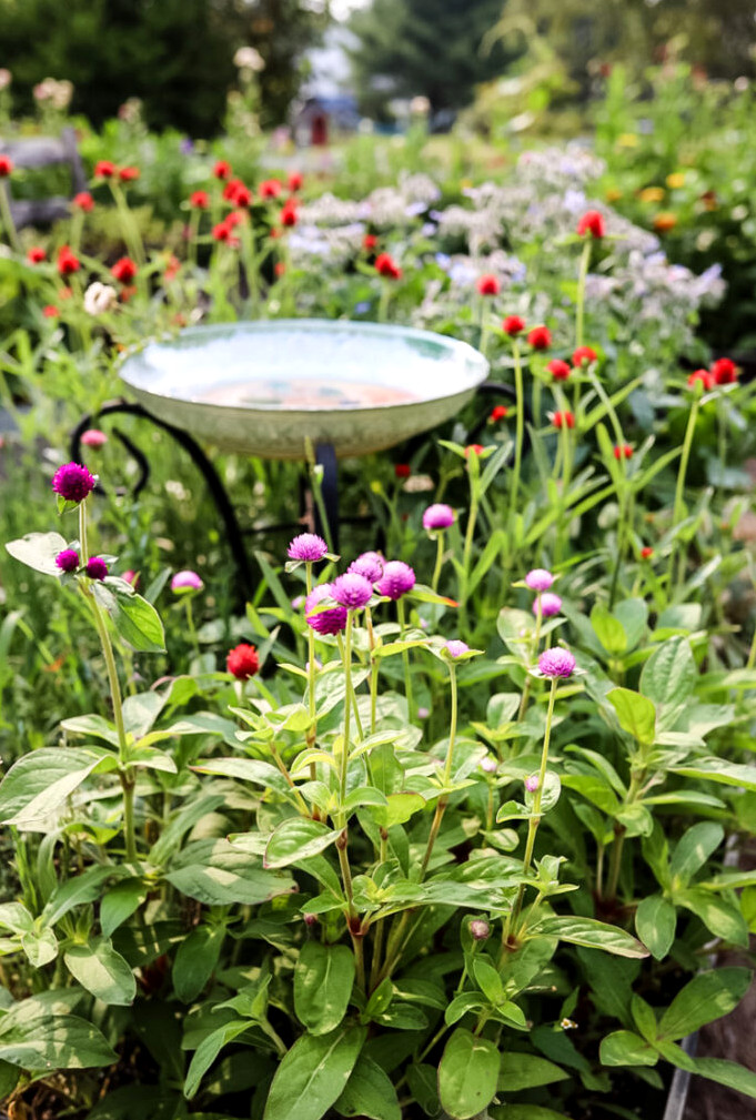 raised garden bed with a birdbath in the center