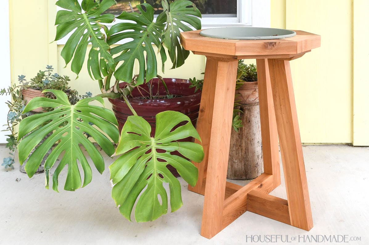 Cedar bird bath next to a monstera plant.