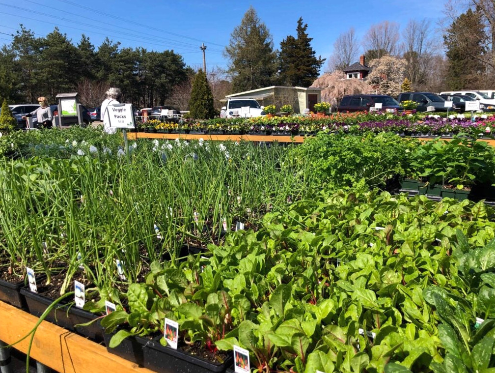 Rolling Green Nursery, NH