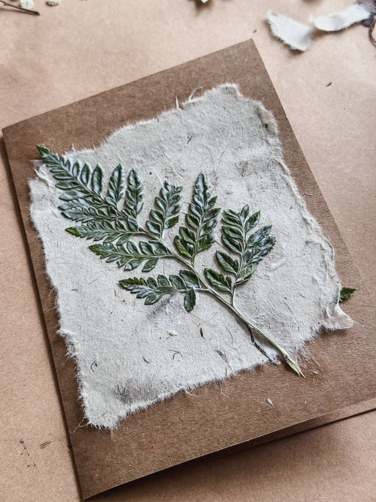 gluing a fern onto a handmade notecard project