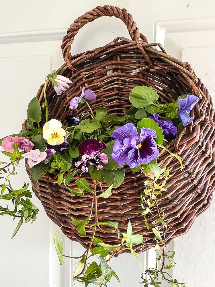 door basket planted with pansies and ivy