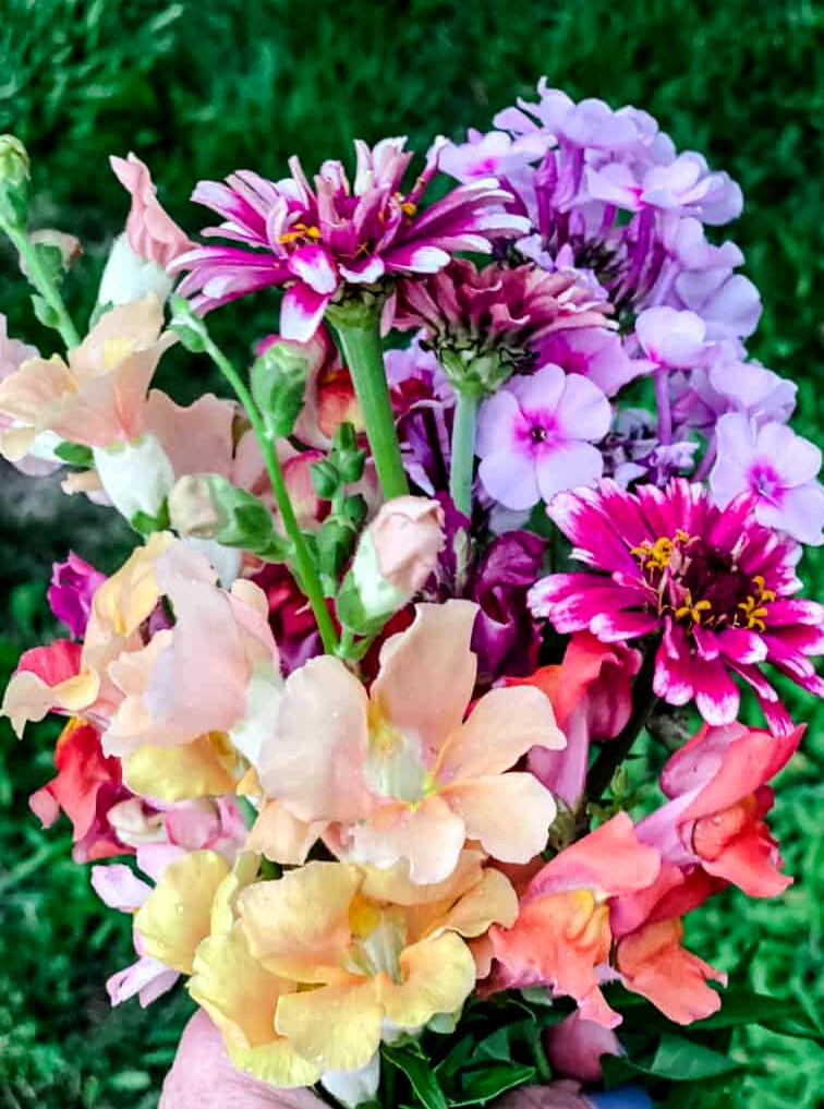 fresh flower bouquet