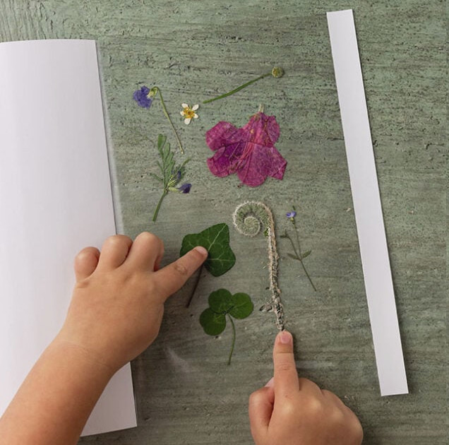 Add Pressed Flowers to Laminating Sheets