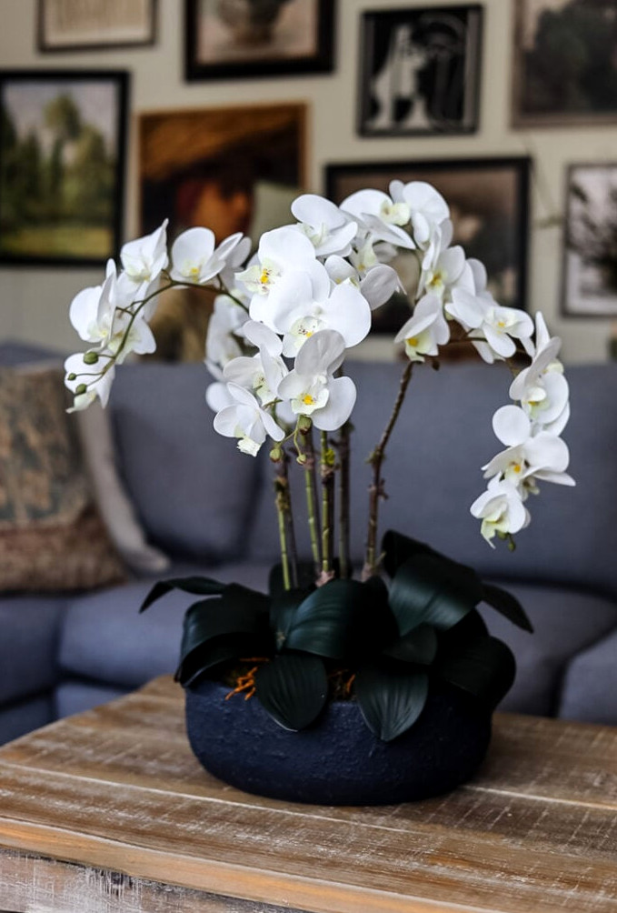 orchid arrangement on a coffee table