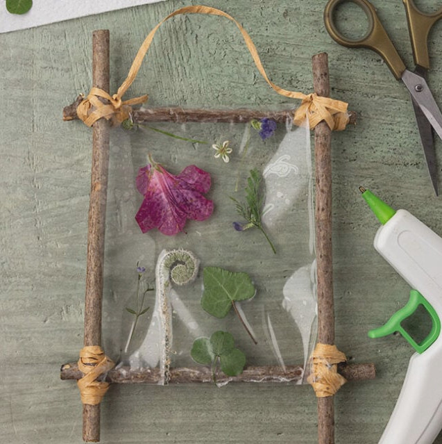 Glue to Pressed Flowers to Frame