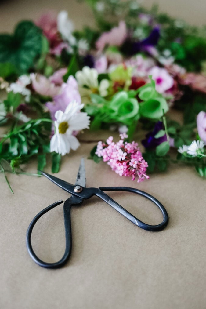 fresh flowers and scissors