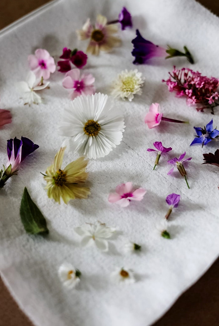 fresh flowers