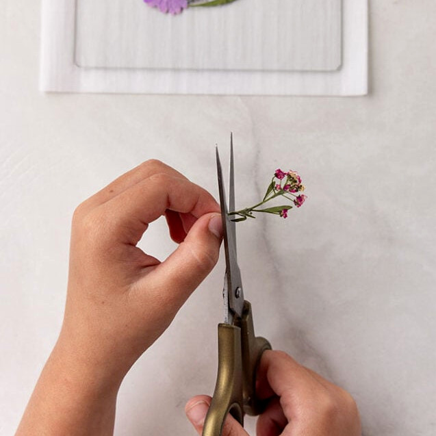 Trim pressed flowers for fingers