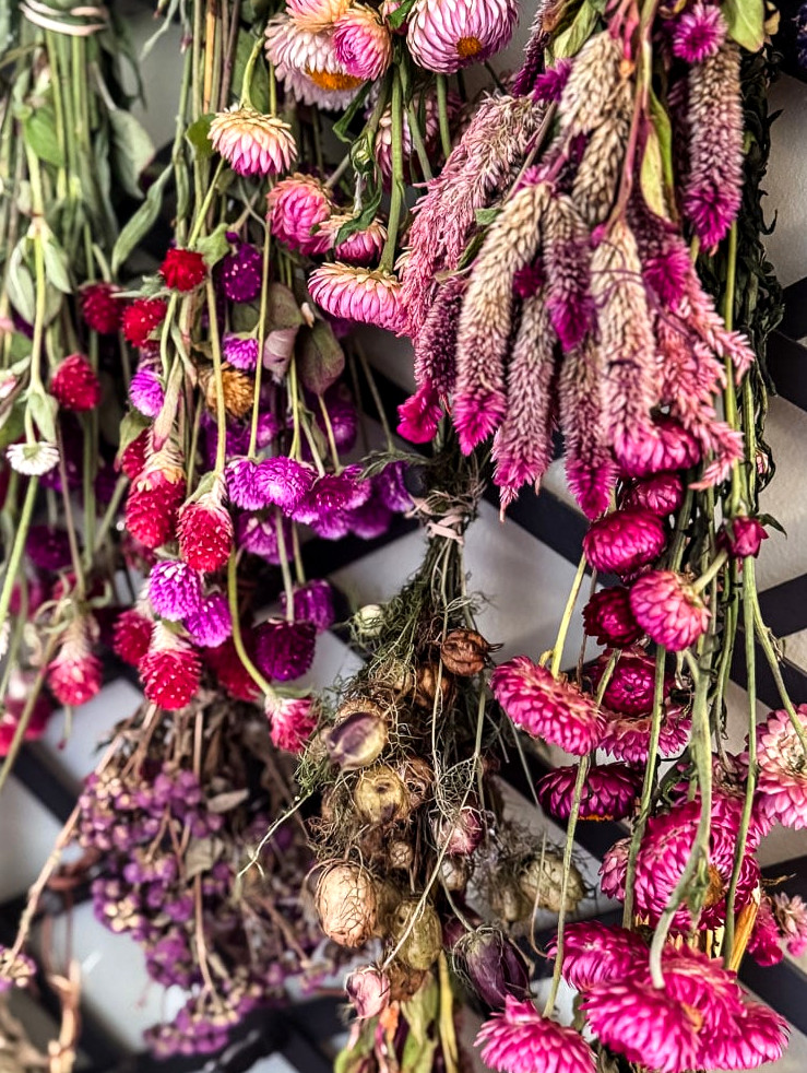 air dried flowers hanging on a peg rack