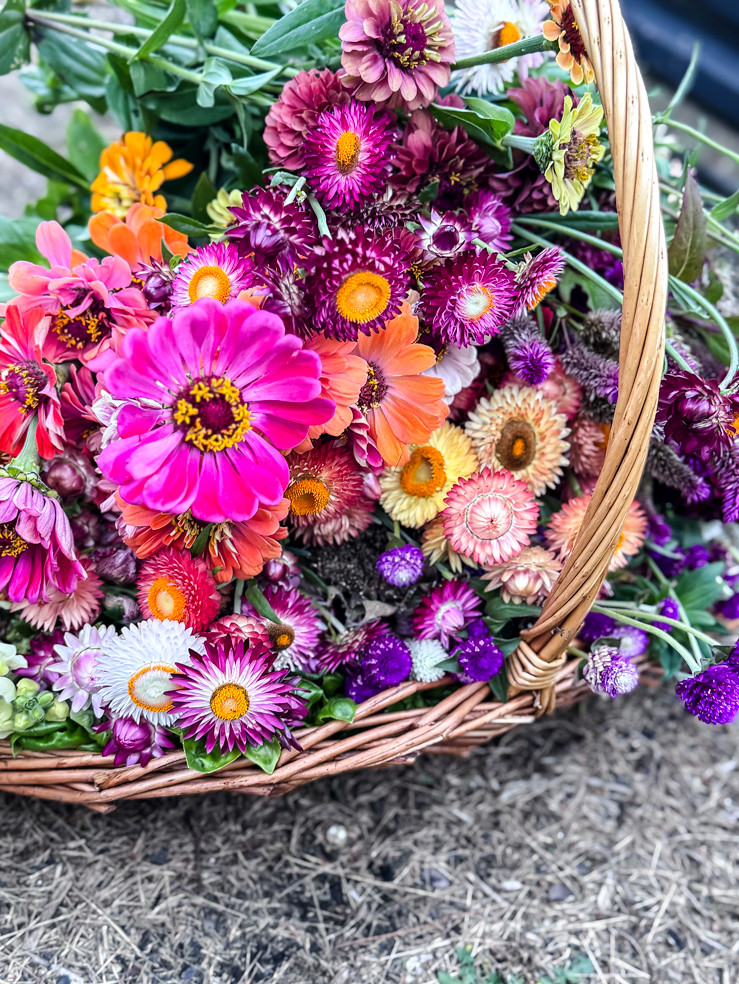 a wicker basket filled with fresh garden flowers