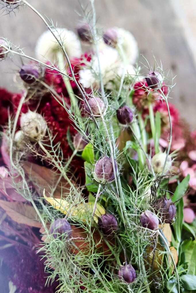 bunch of dried flowers