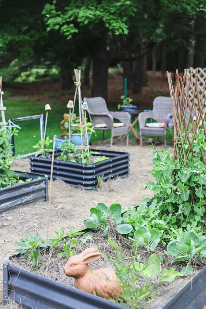 vegetable cottage garden