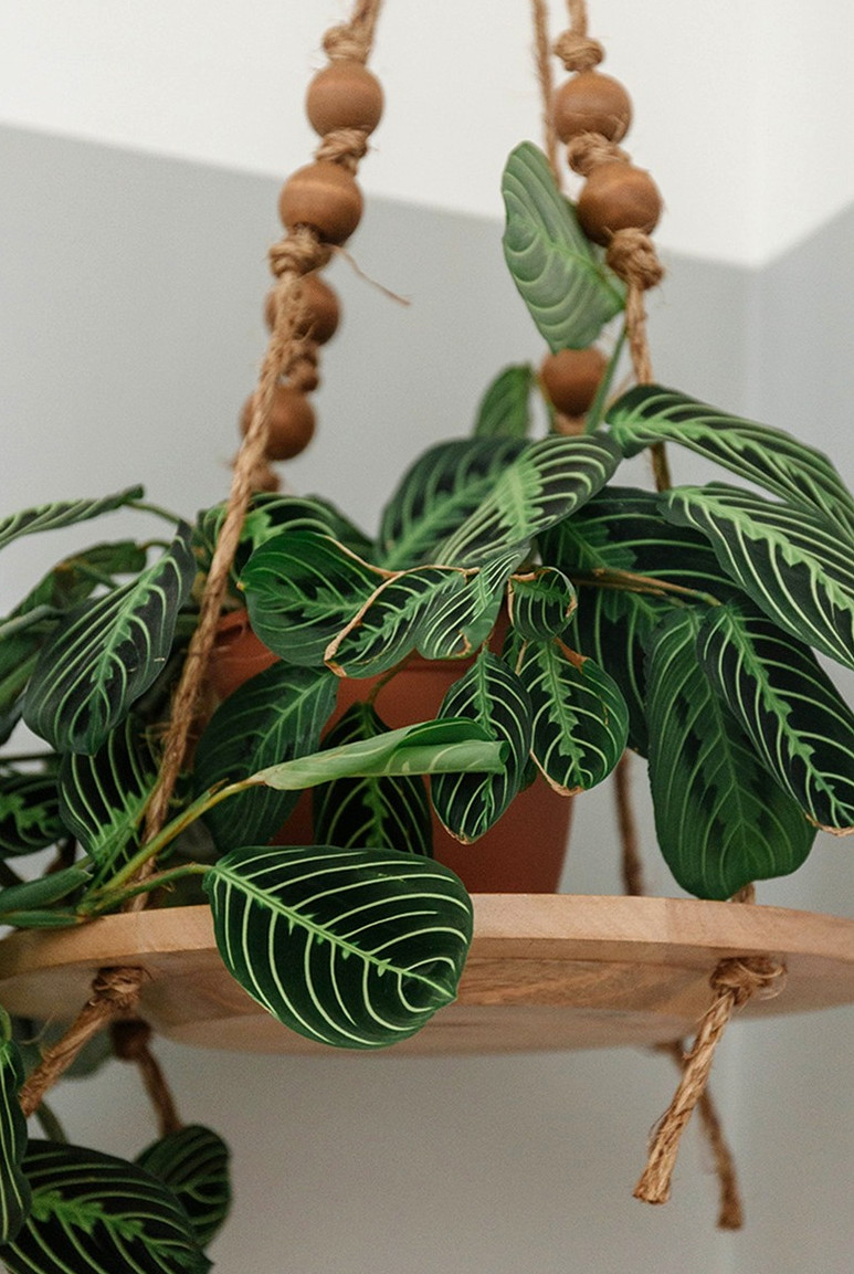 homemade boho hanging plant stand
