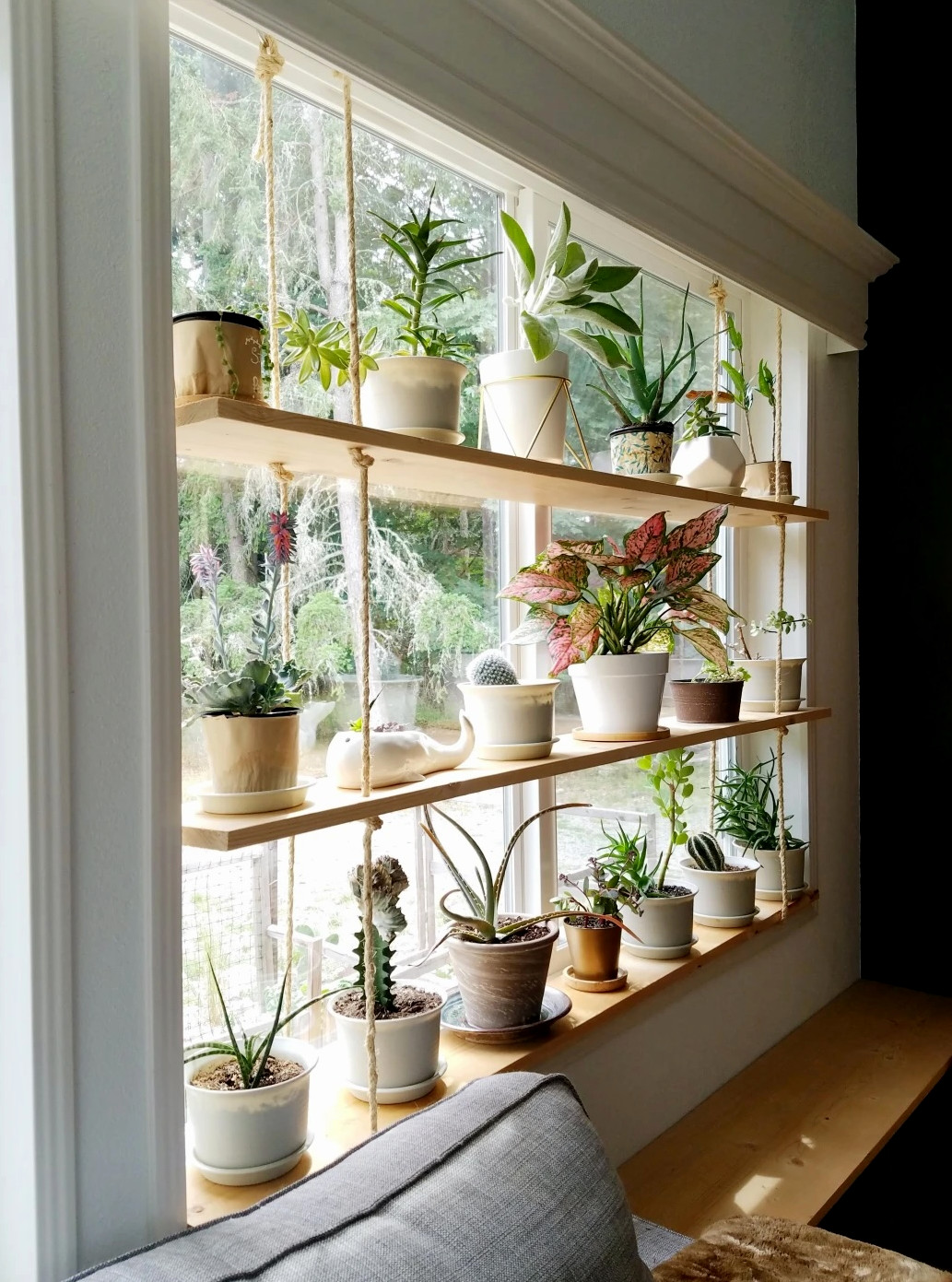 diy hanging plant stand shelves