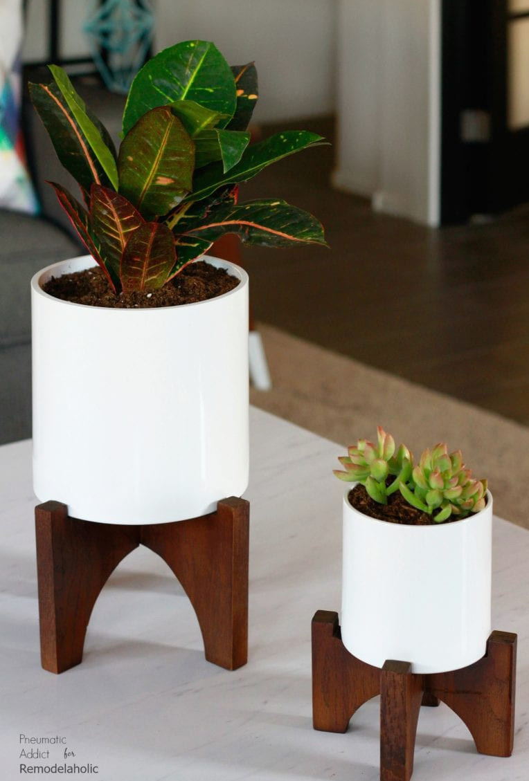 diy modern tabletop plant stands