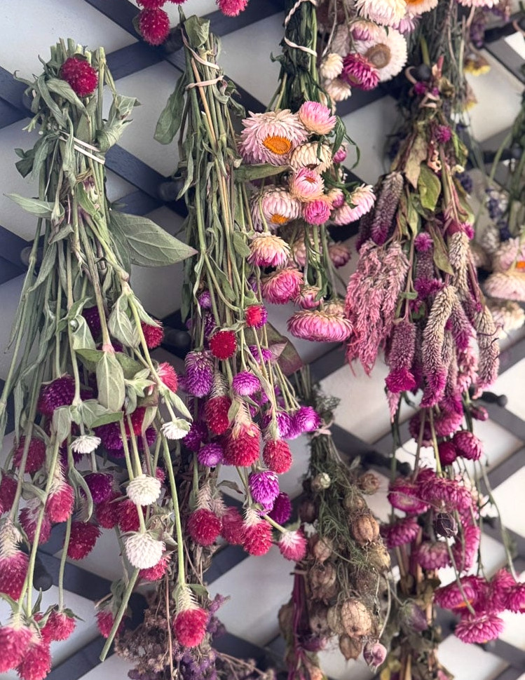 dried flowers hanging on a rack
