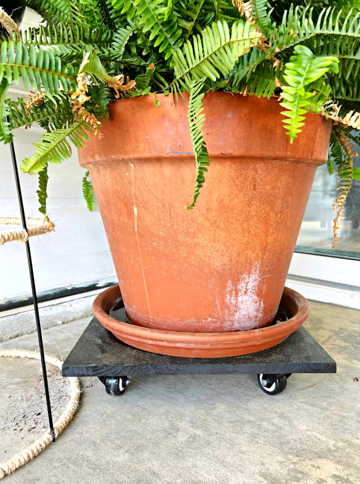 simplest rolling plant stand