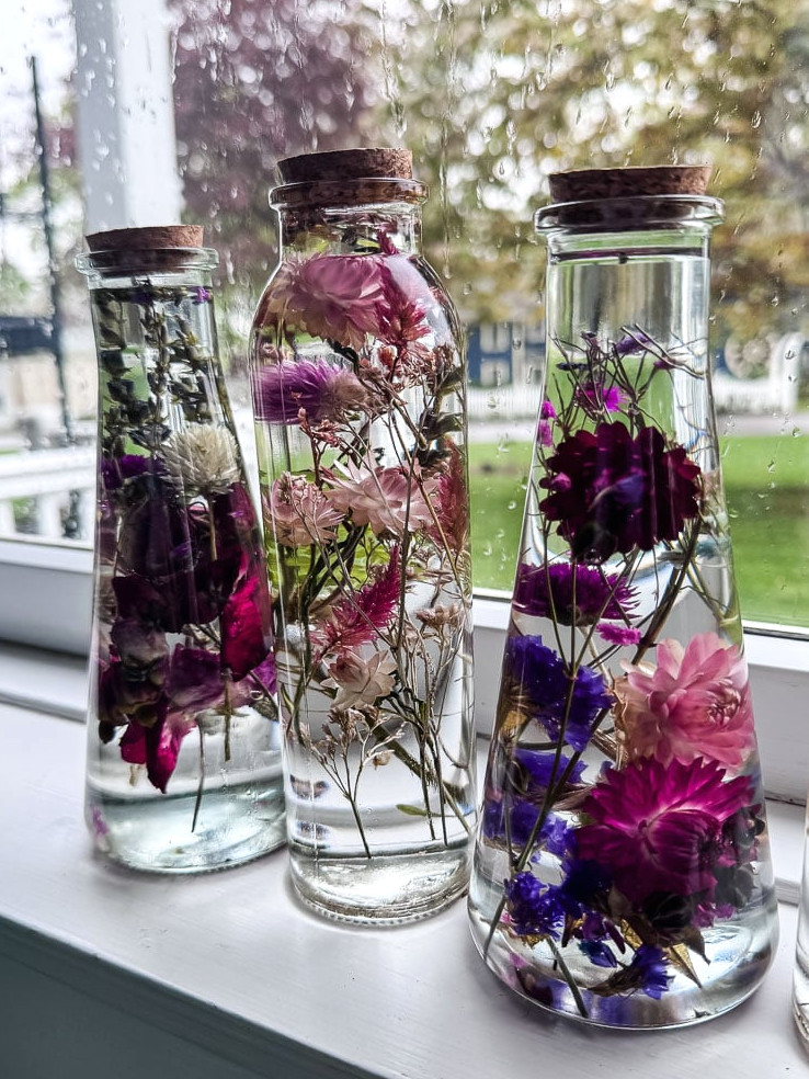 glass flower herbarium bottles displayed in a window