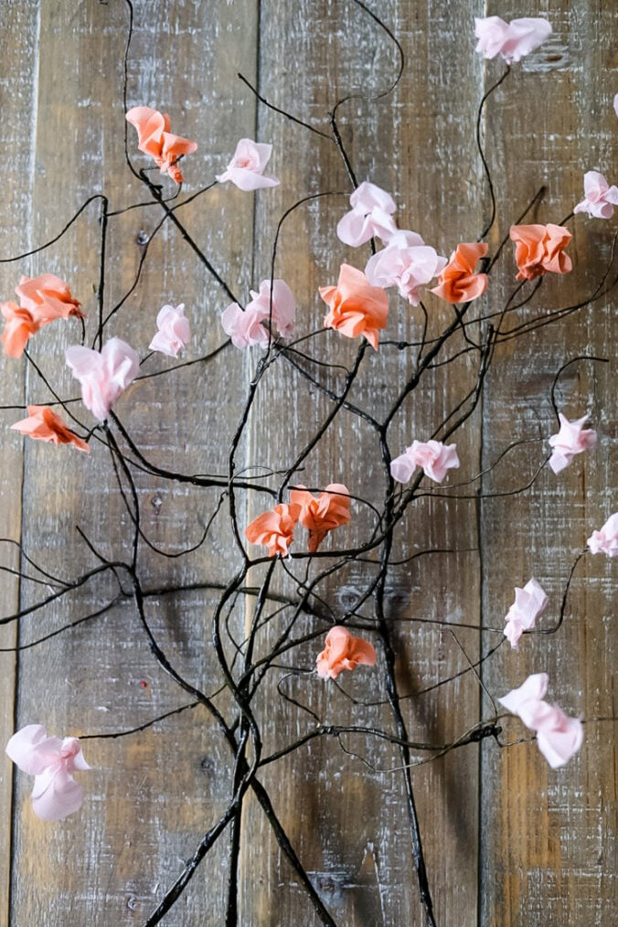 paper blossom branches
