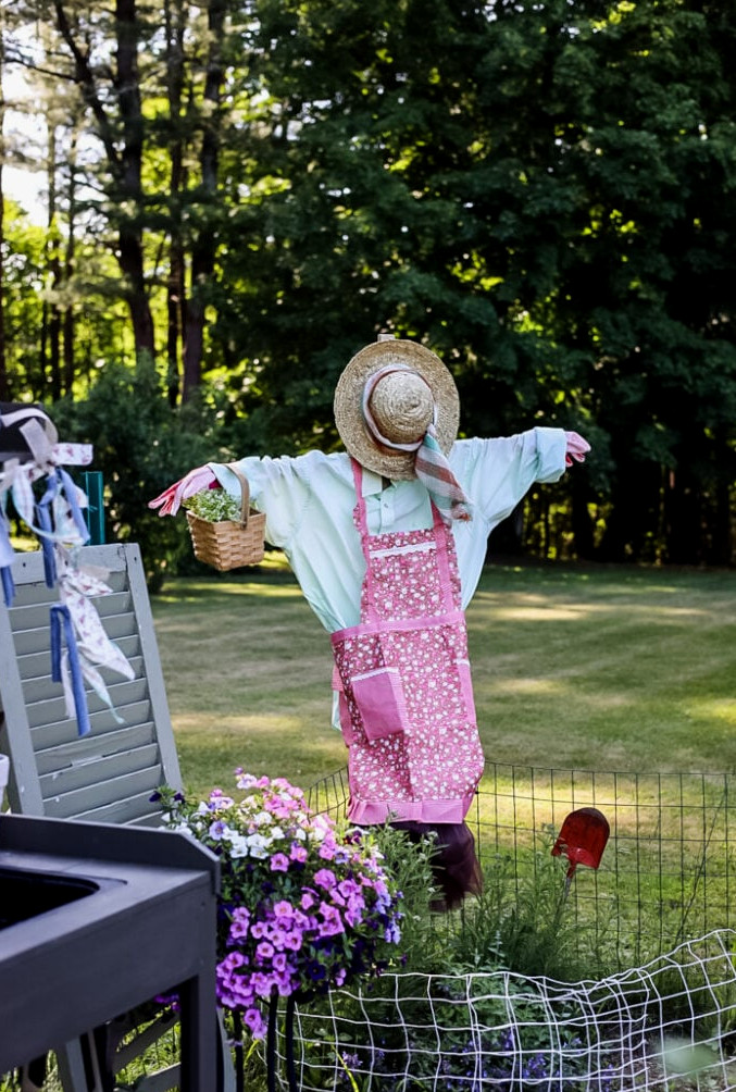 garden with scarecrow and vintage shutter and flowers