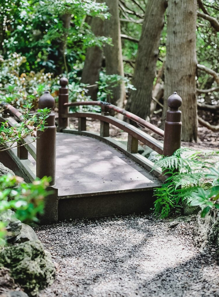 Wood bridge over pond