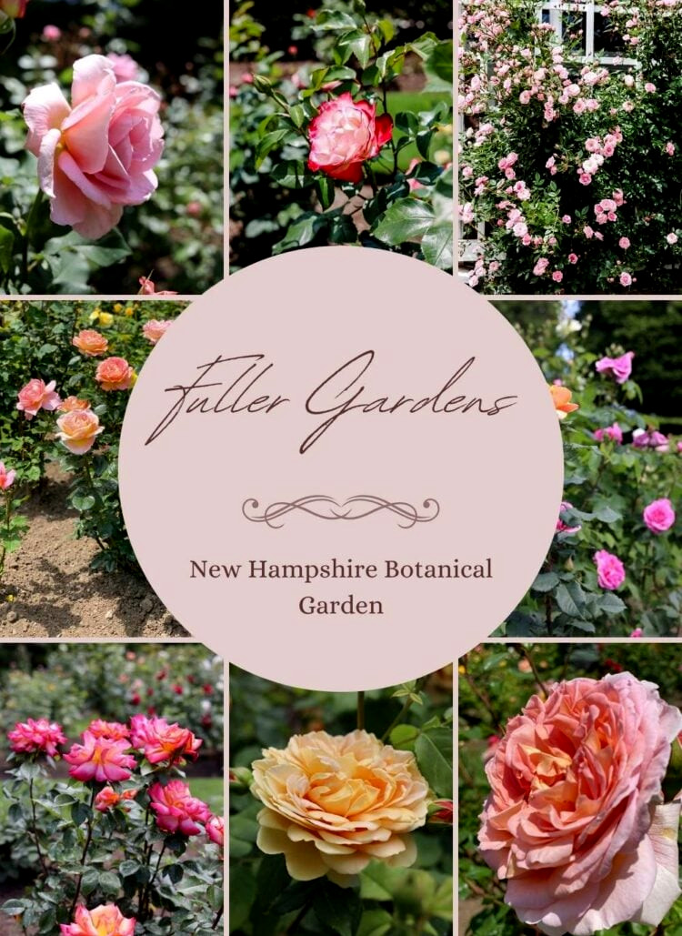 fuller garden collage