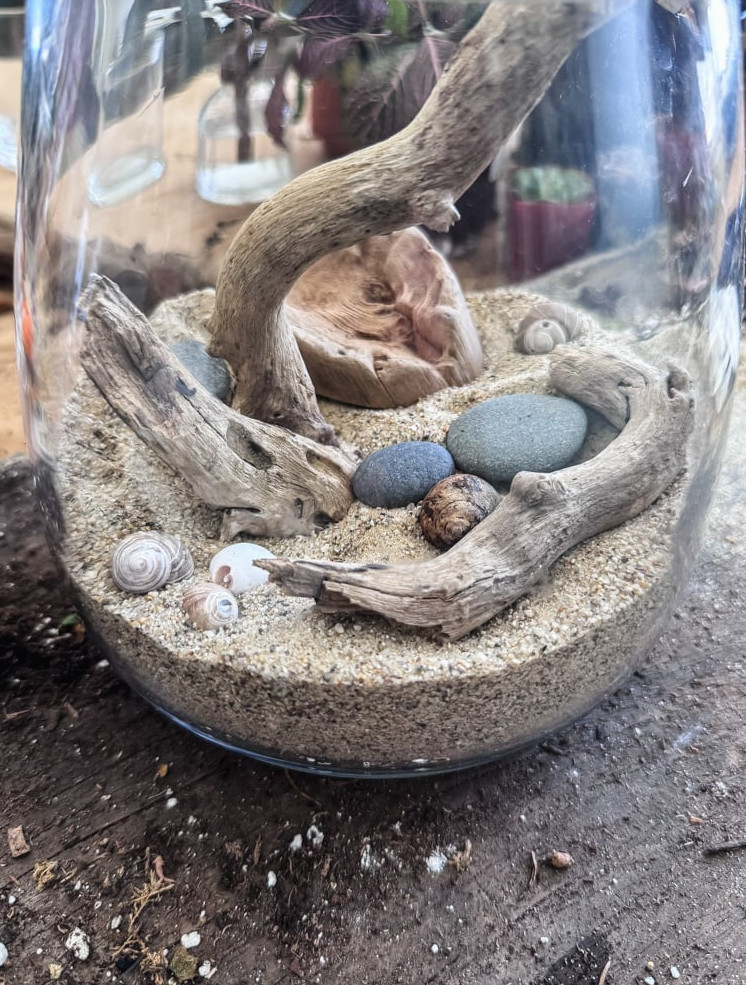 terrarium with a seaside theme