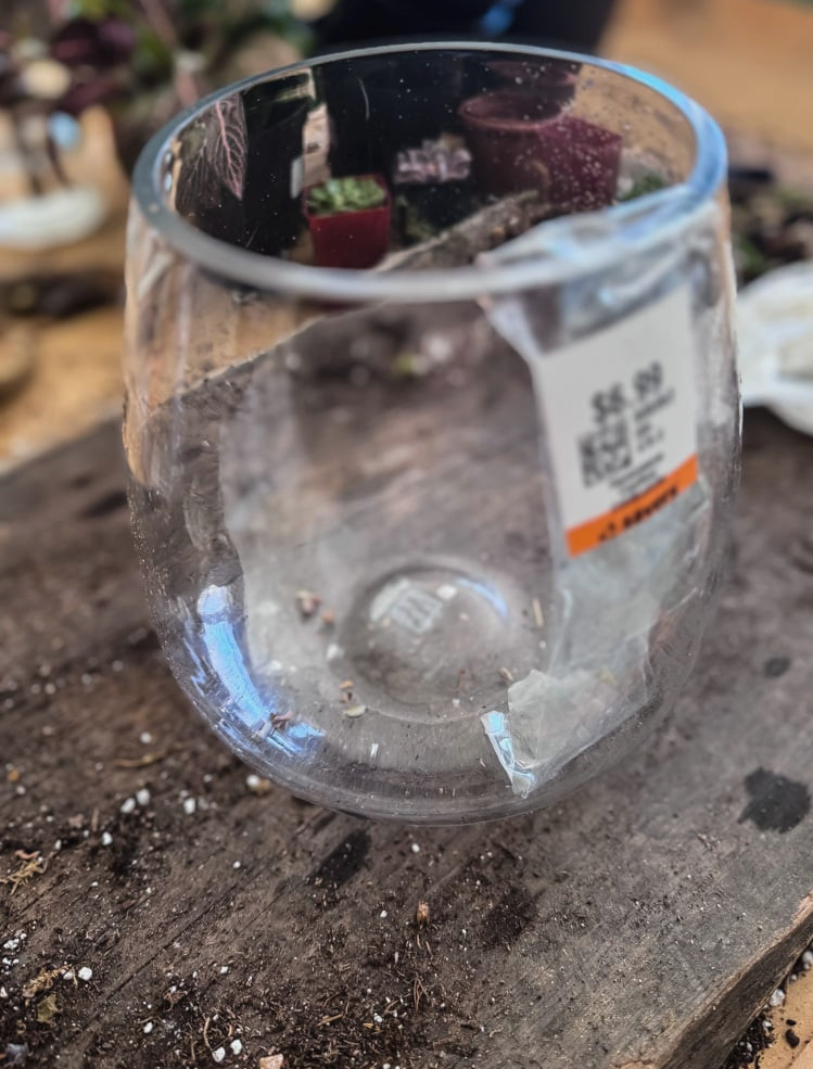 glass vase from thrift store