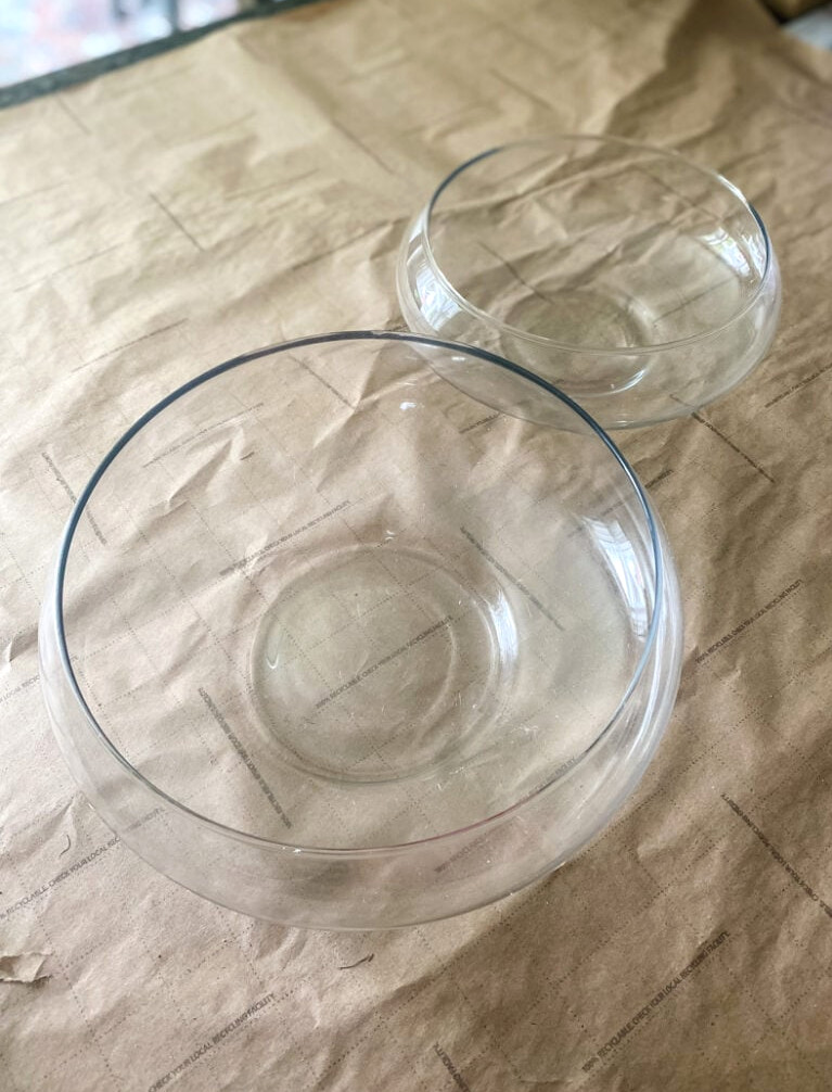 terrarium glass dishes