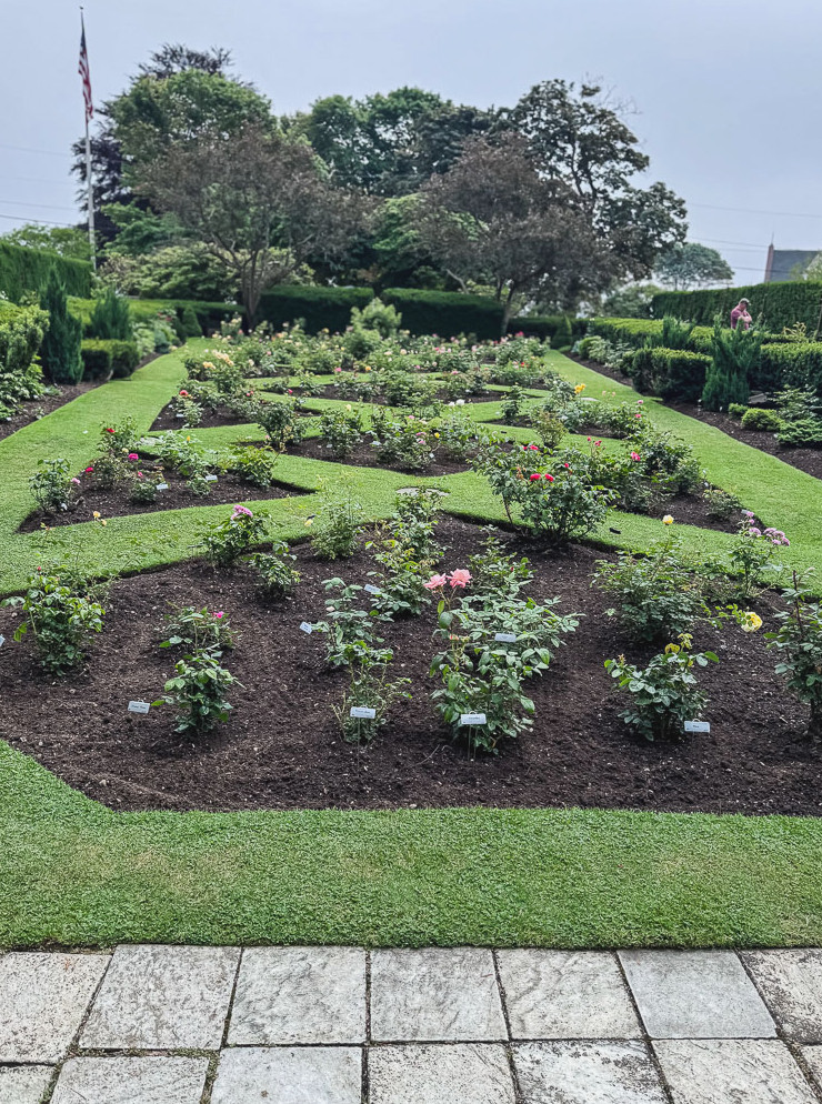 view of formal English garden with roses.