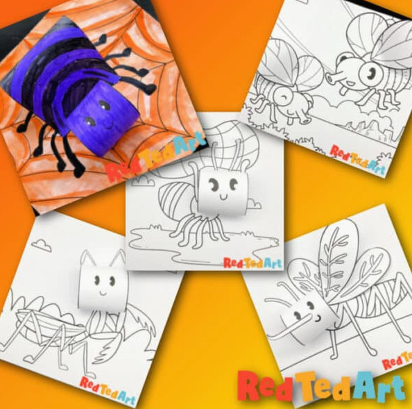 5 insect coloring pages 3d