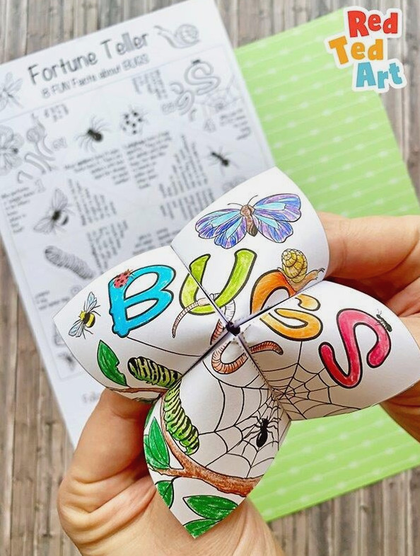Learn about Bugs