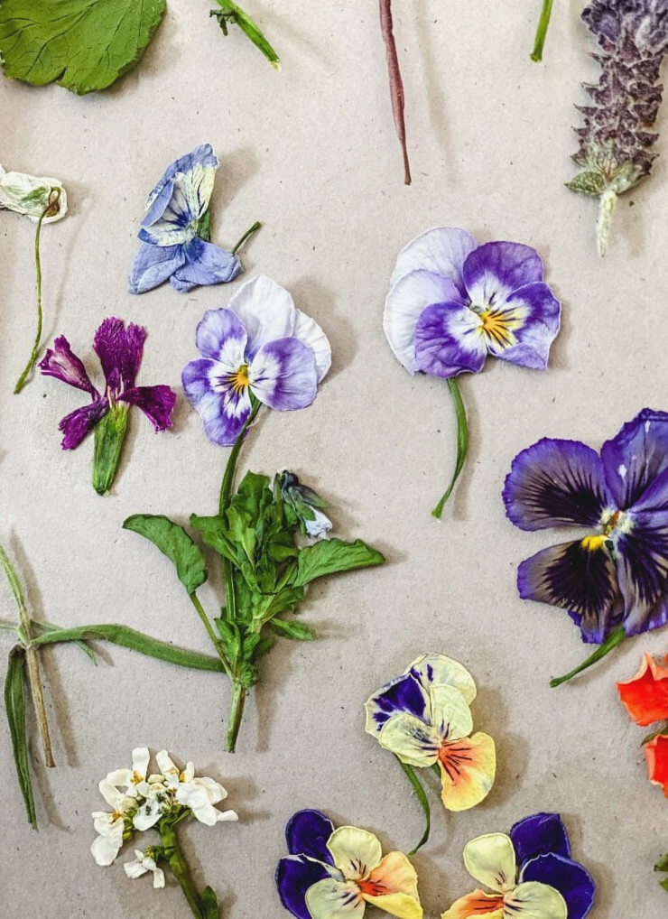 dried flowers