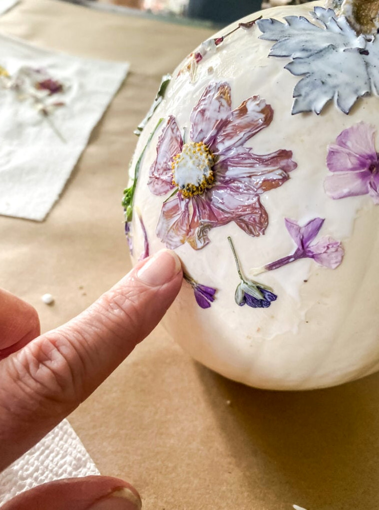 pressing a flower in place on a pumpkin